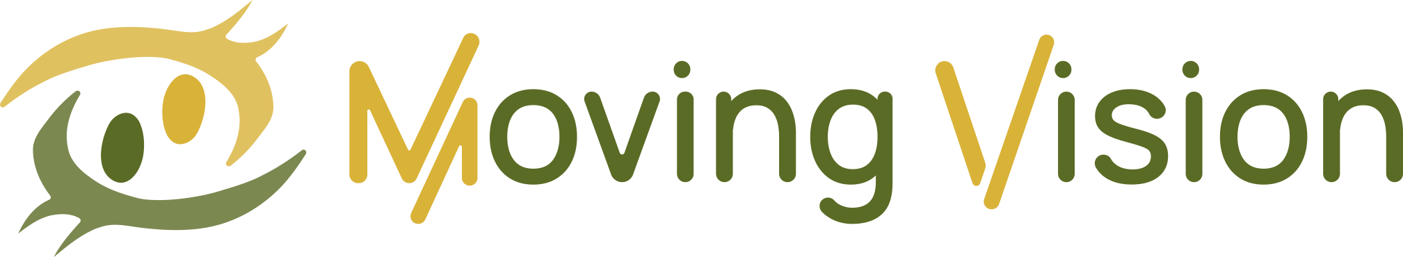 Moving Vision